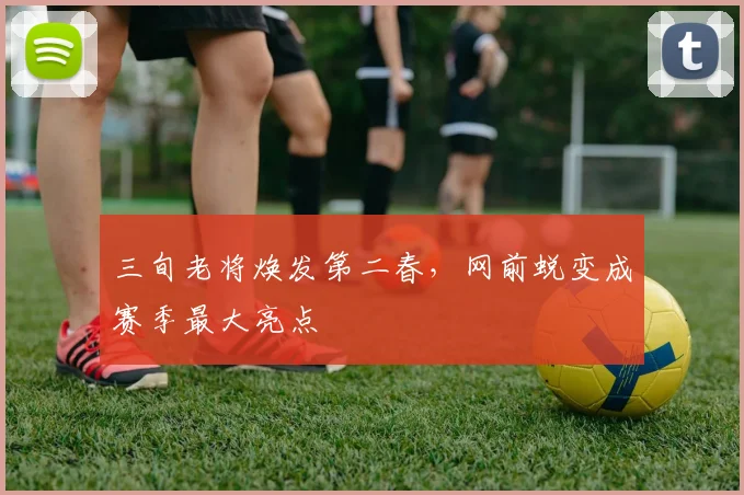 三旬老将焕发第二春,网前蜕变成赛季最大亮点